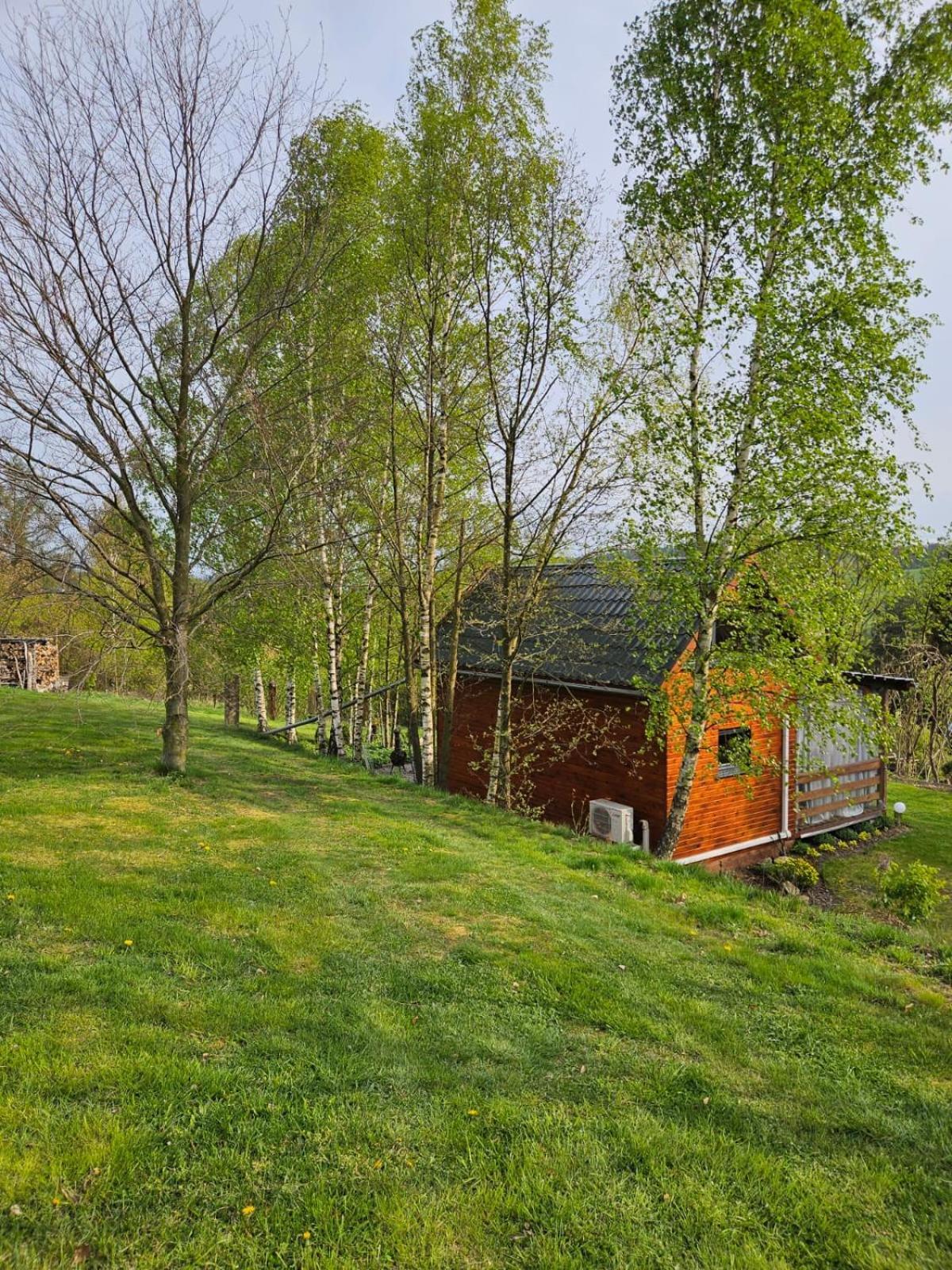 Domek Na Korcie Lubomierz  Dış mekan fotoğraf